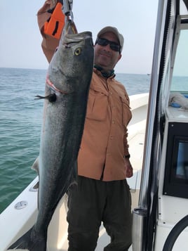 Fishing Long Island Sound