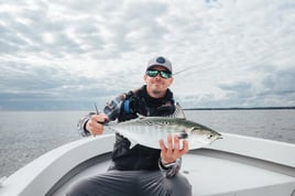 Wandering Albatross Fly Fishing