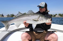 Wandering Albatross Fly Fishing