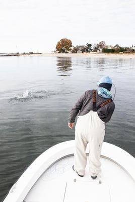 Wandering Albatross Fly Fishing