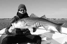 Wandering Albatross Fly Fishing