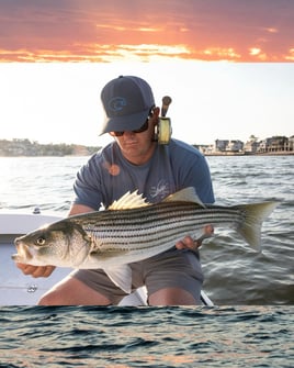 Wandering Albatross Fly Fishing