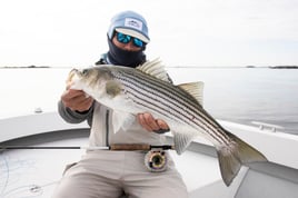 Wandering Albatross Fly Fishing