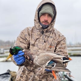 Winter Waterfowl