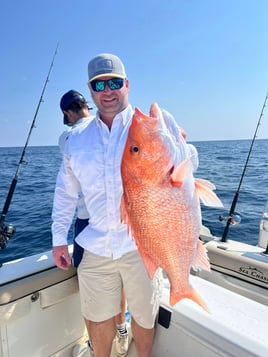 12 Hour Trip – Deep Sea Fishing
