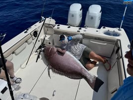 12 Hour Trip – Deep Sea Fishing