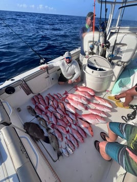 12 Hour Trip – Deep Sea Fishing