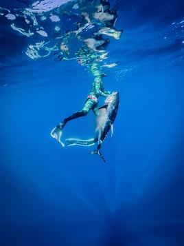 Offshore Camp Adventure