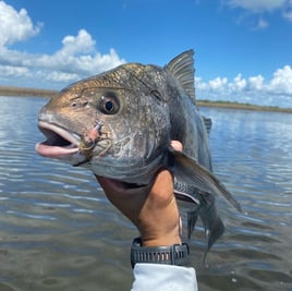 Sight casting the flats 