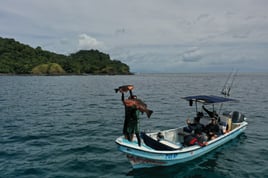 SPEARFISHING PANAMA