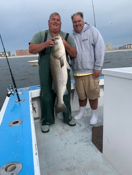 Inshore Fishing Trip - 38 Holland