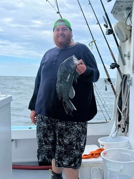 Inshore Fishing Trip - 38 Holland