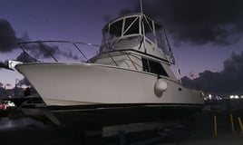 Inshore Fishing Trip