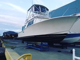 Inshore Fishing Trip