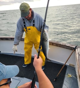 5-7 Hour Inshore Trip