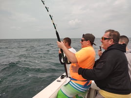 OFFSHORE SHARK TRIP