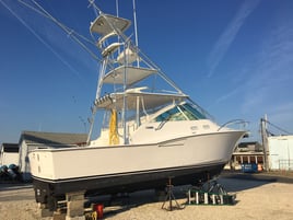 8 Hour Trip – Fluke/Striped Bass