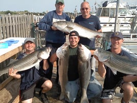 8 Hour Trip – Fluke/Striped Bass