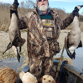 Goose Hunts