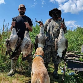 Goose Hunts