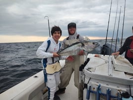 Offshore Tuna Trips