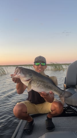 Lake Okeechobee Bass Fishing