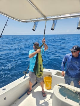 Full and half day offshore.