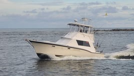 5 hr Trolling and Red Snapper Trip