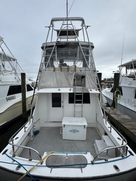 6 hr Red Snapper bottom fishing 