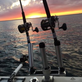 Lake Michigan Salmon & Trout