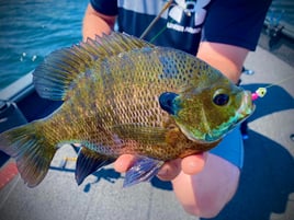 Panfish Trips