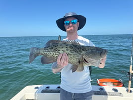 Inshore 