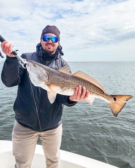 Inshore/Near Fishing Trip