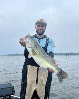 Largemouth Bass Trip