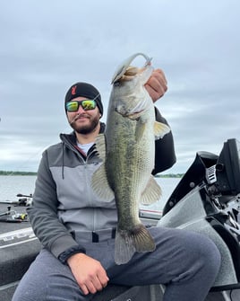 Largemouth Bass Trip