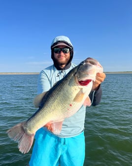 Largemouth Bass Trip