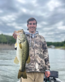 Largemouth Bass Trip