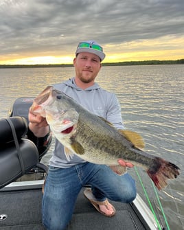 Largemouth Bass Trip