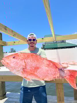 NEARSHORE RED SNAPPER FISHING 