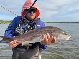 Wade Fishing Day Trip