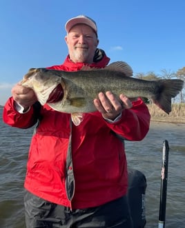 4 To 8 Hour Charter Trip