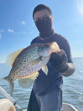 4 To 8 Hour Charter Trip