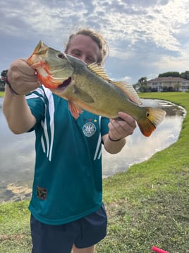 PEACOCK BASS FISHING
