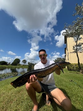 PEACOCK BASS FISHING