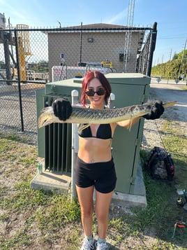 PEACOCK BASS FISHING