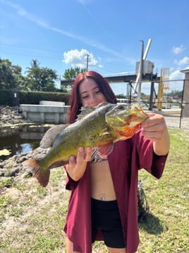 PEACOCK BASS FISHING