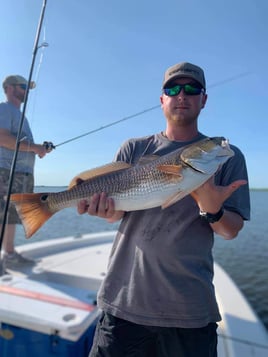 Redfish Fishing in Saint Bernard, Louisiana