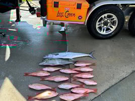 4-5 HR Nearshore Trip