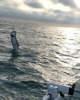 Bradenton Inshore Fishing Trip