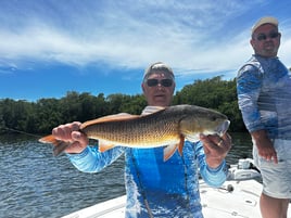 4 Hour Trip – Inshore